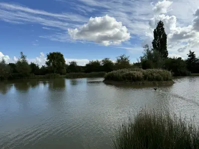 Photo of fishing lake close-up