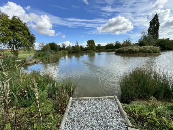 Photo of fishing lake from another angle