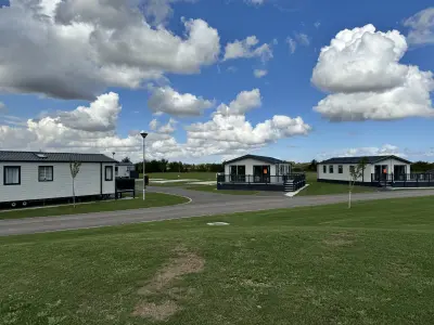 Picture of statics caravans on the site